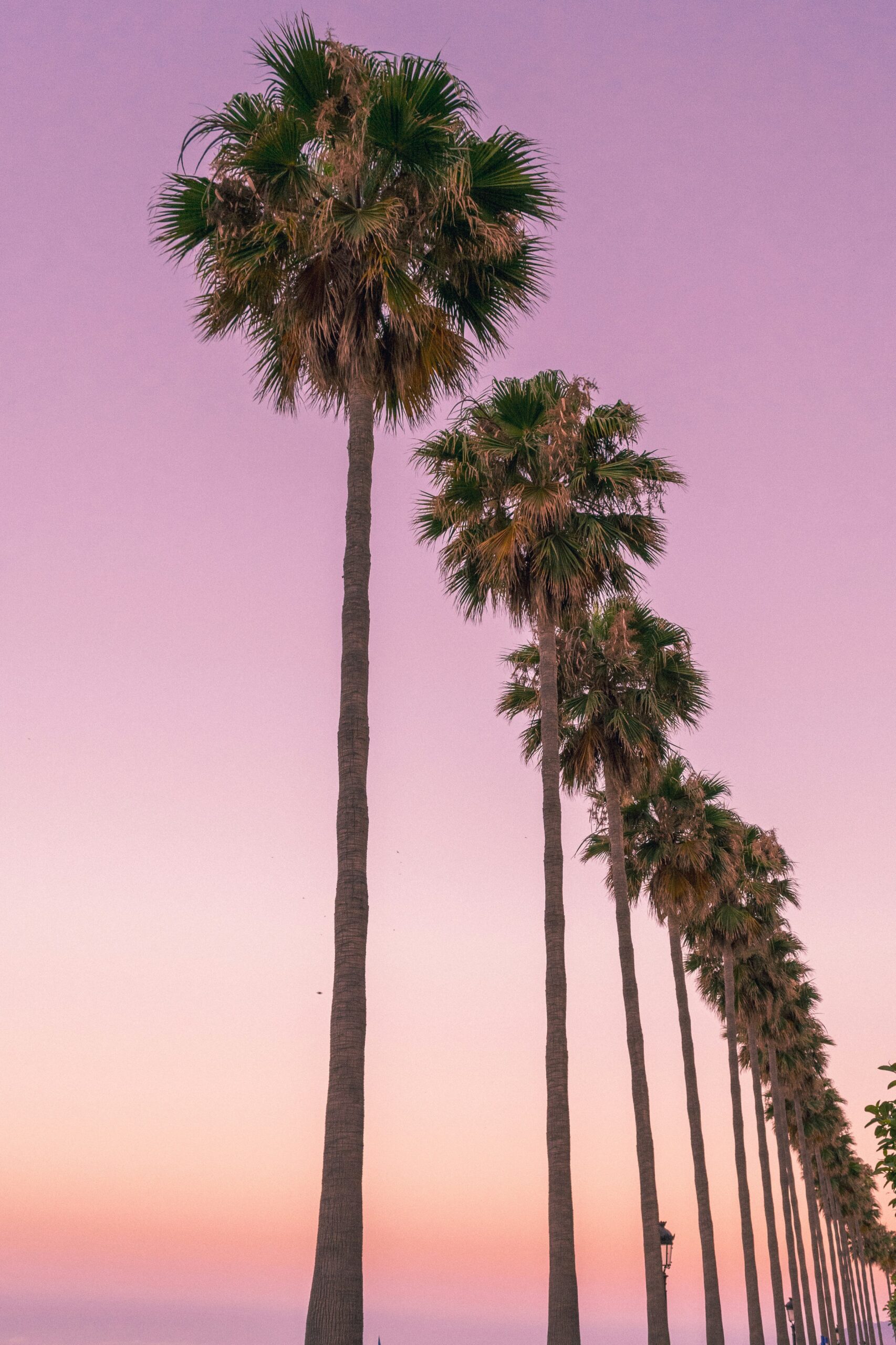 Marbella coastline and lifestyle