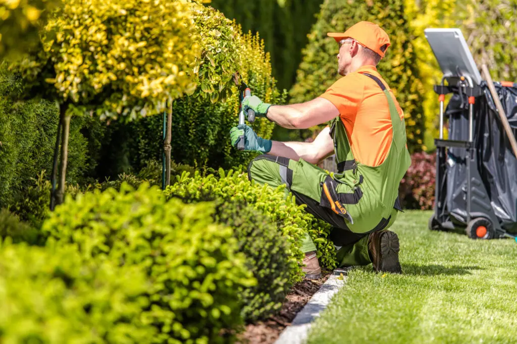 Gardening services