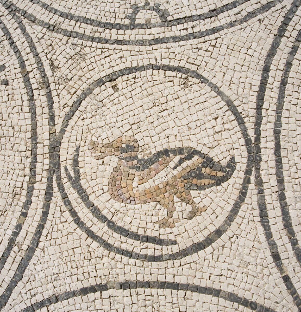 Roman Villa of Río Verde, Marbella (site view)