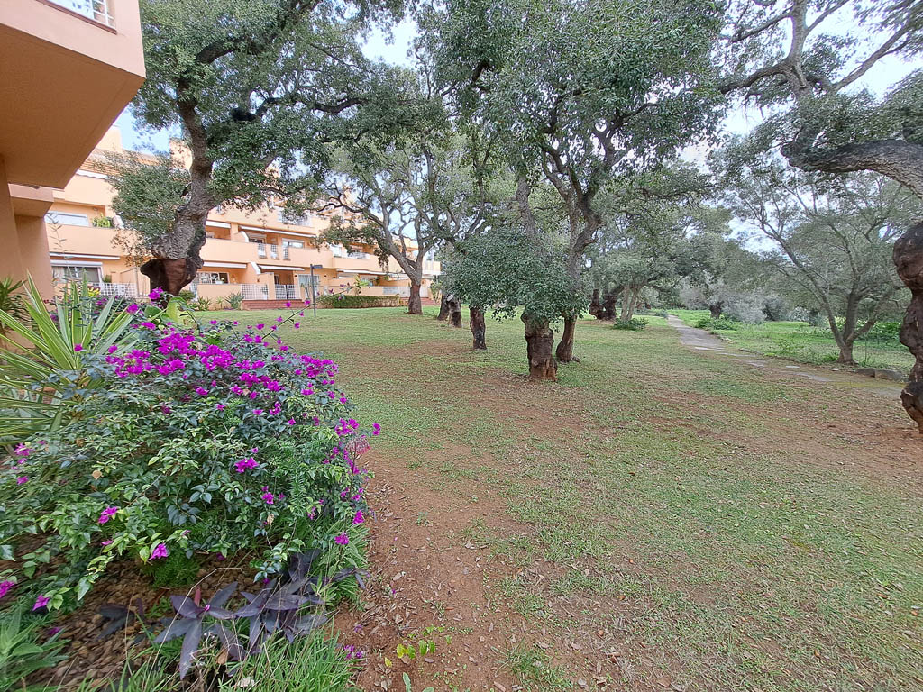 jardines de santamaria golf3