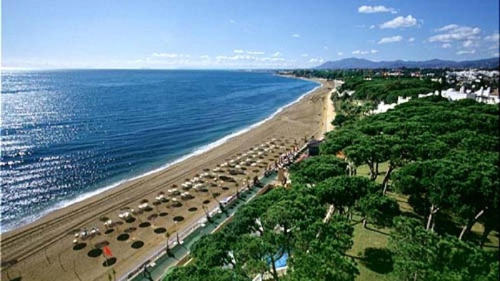 white pearl beach1